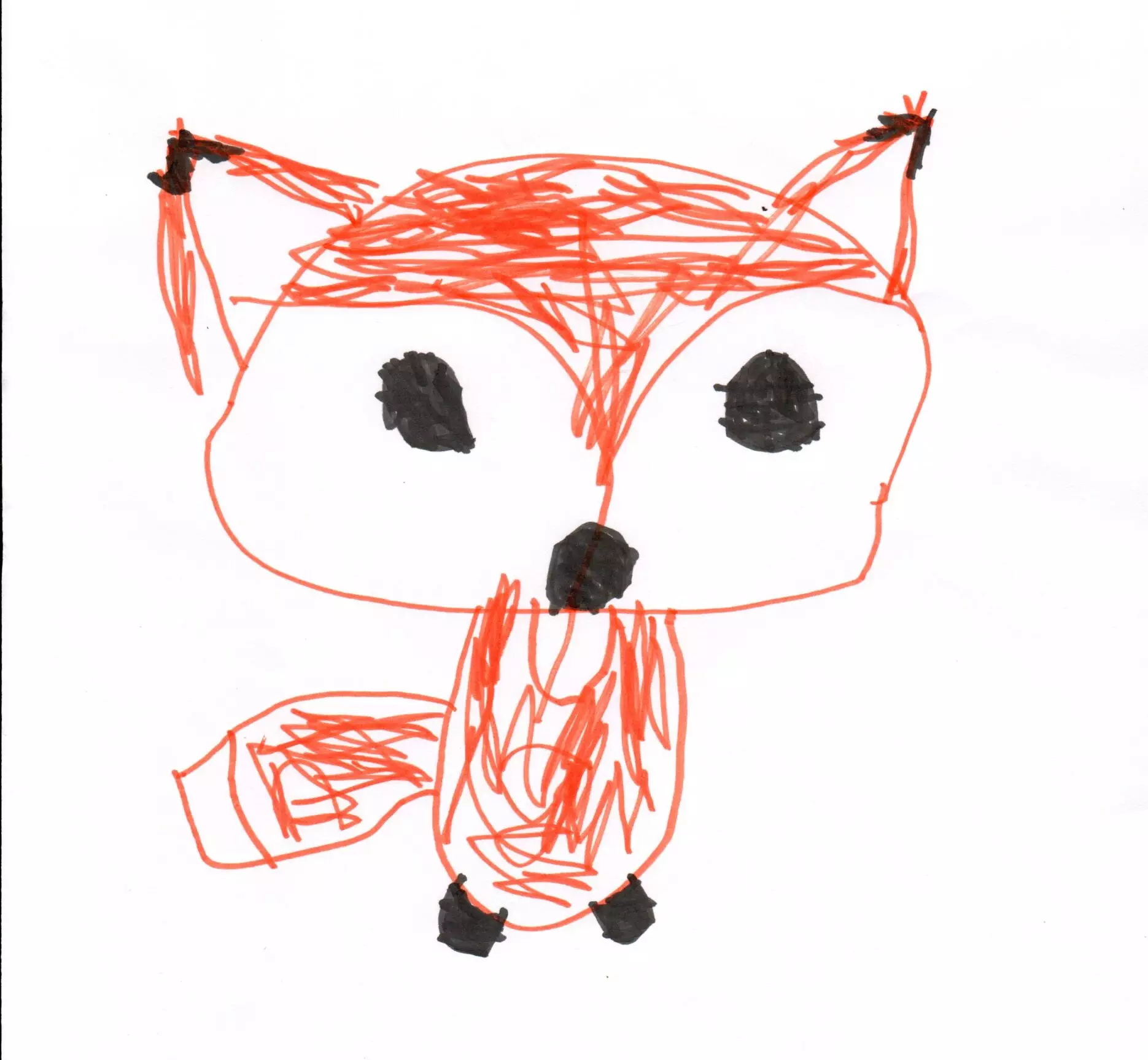Alo's Fox Drawing 2021