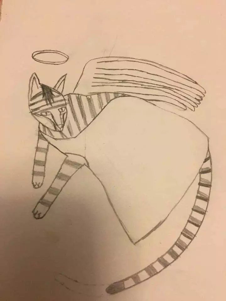 Angel Cat Drawing 2018