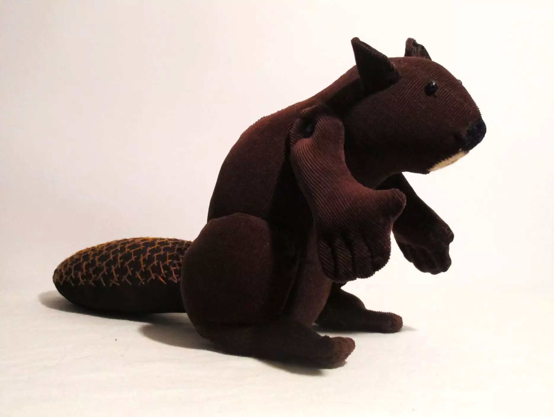 Beaver