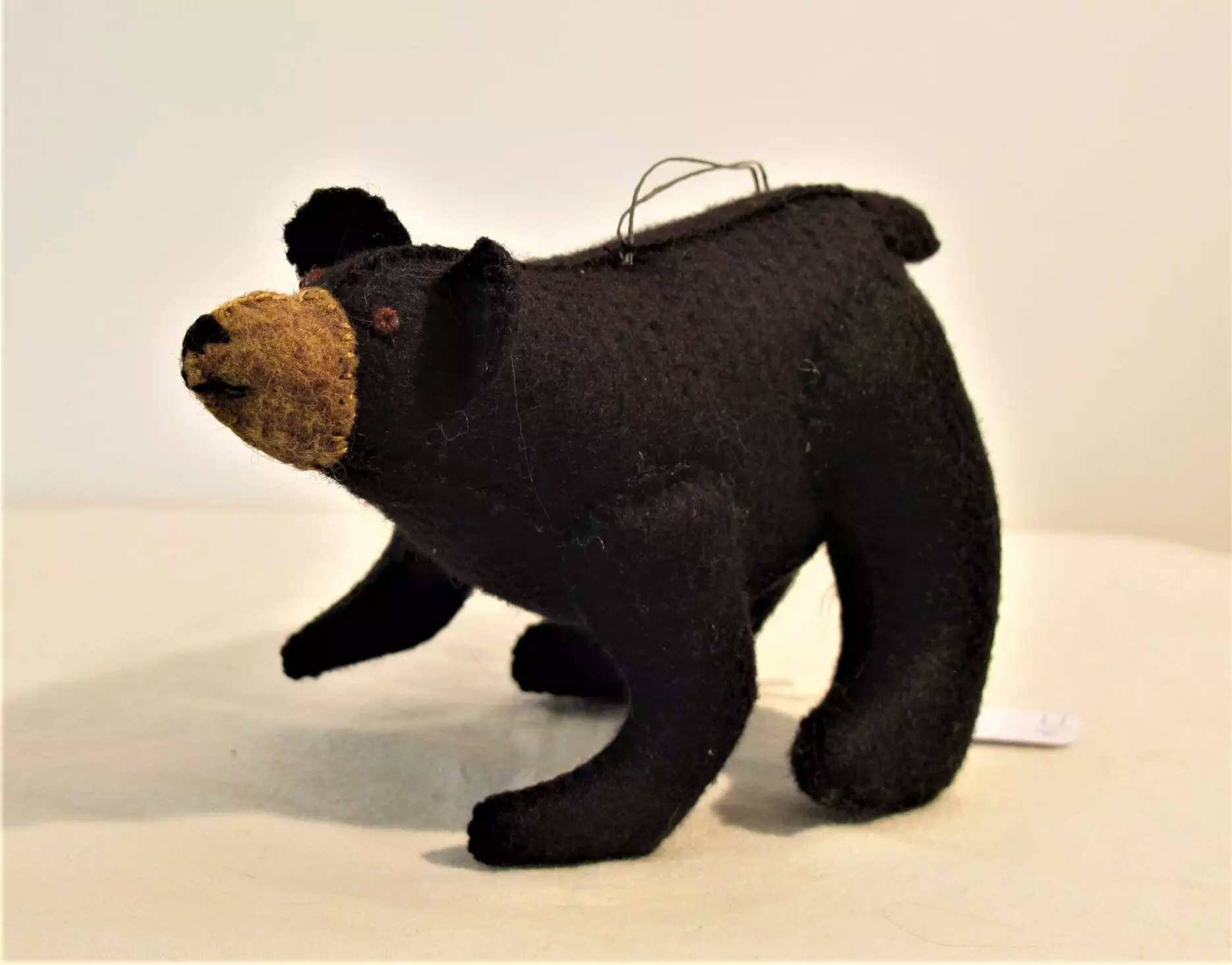 Black Bear 2020