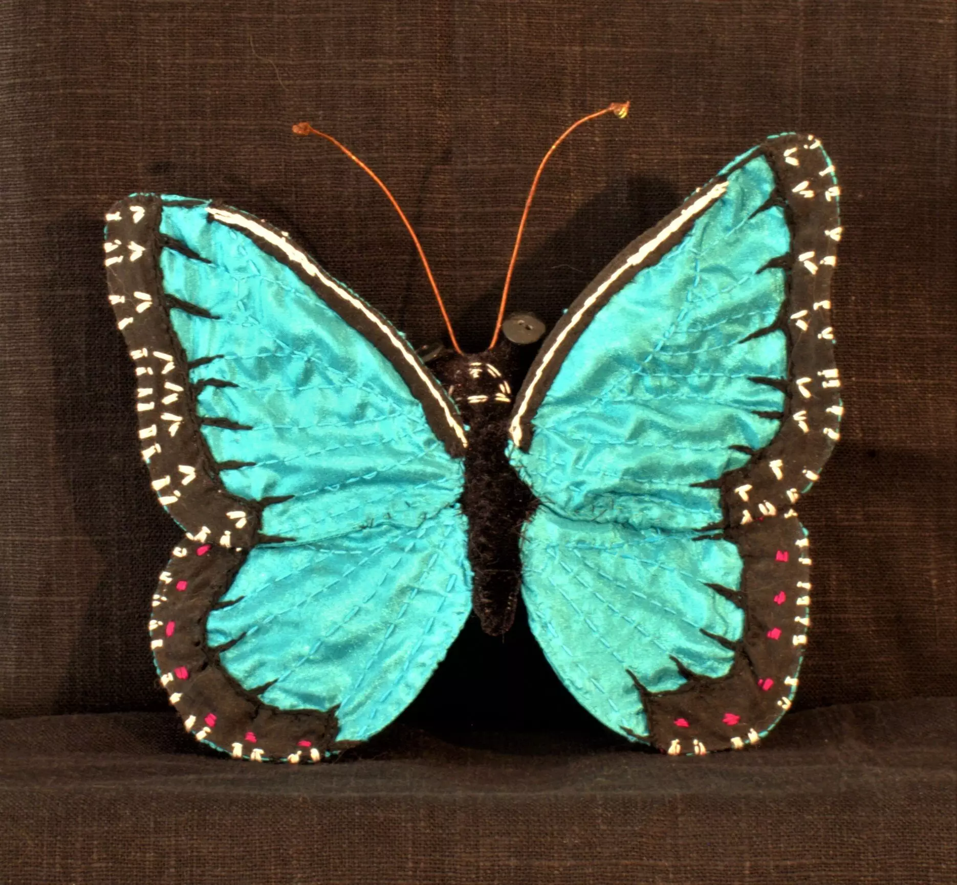 Blue Morpho 2016