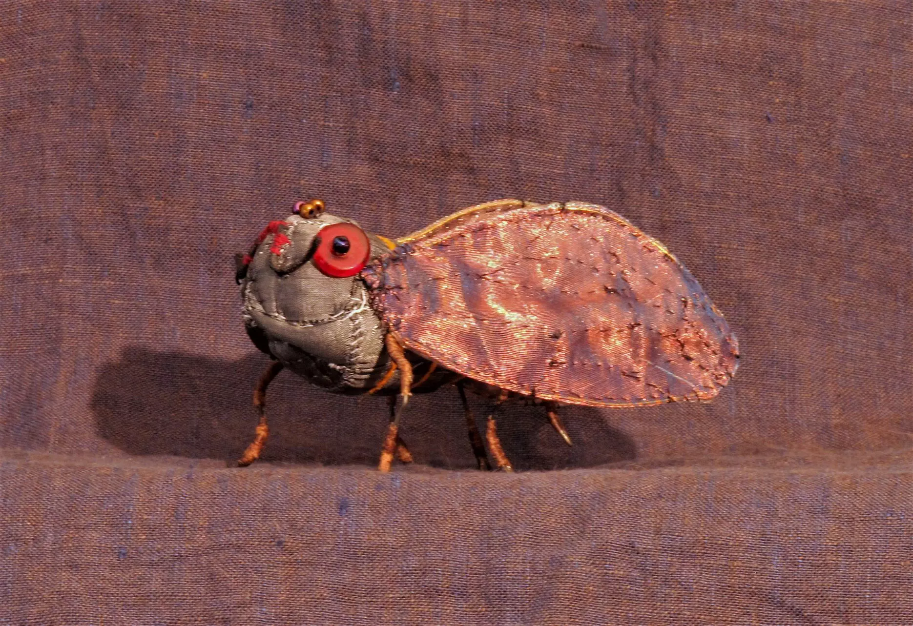 Cicada 2016