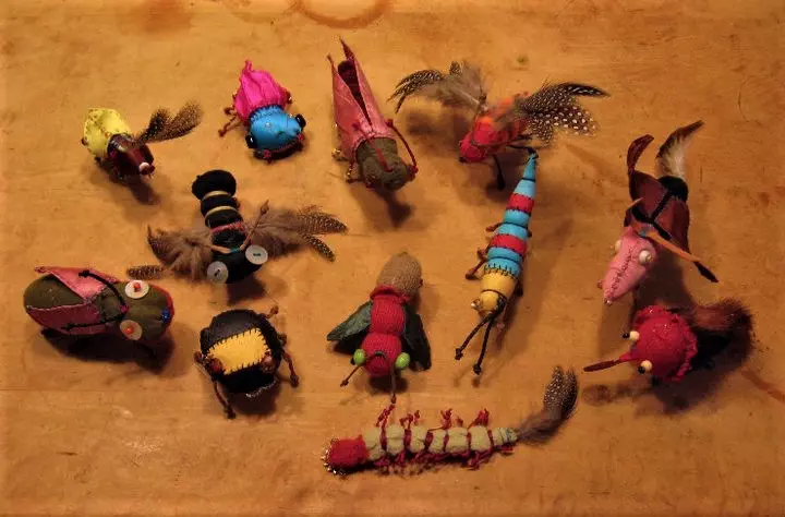 Collection of Insects for MOCAD 2012