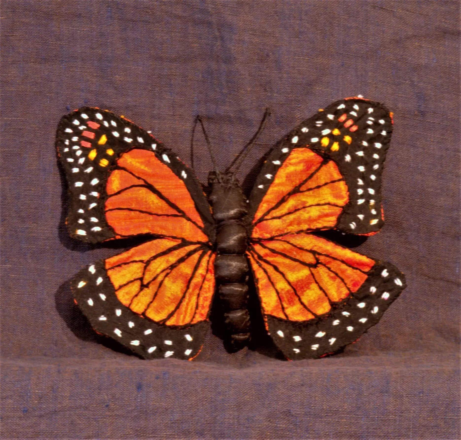 Monarch Butterfly 2016