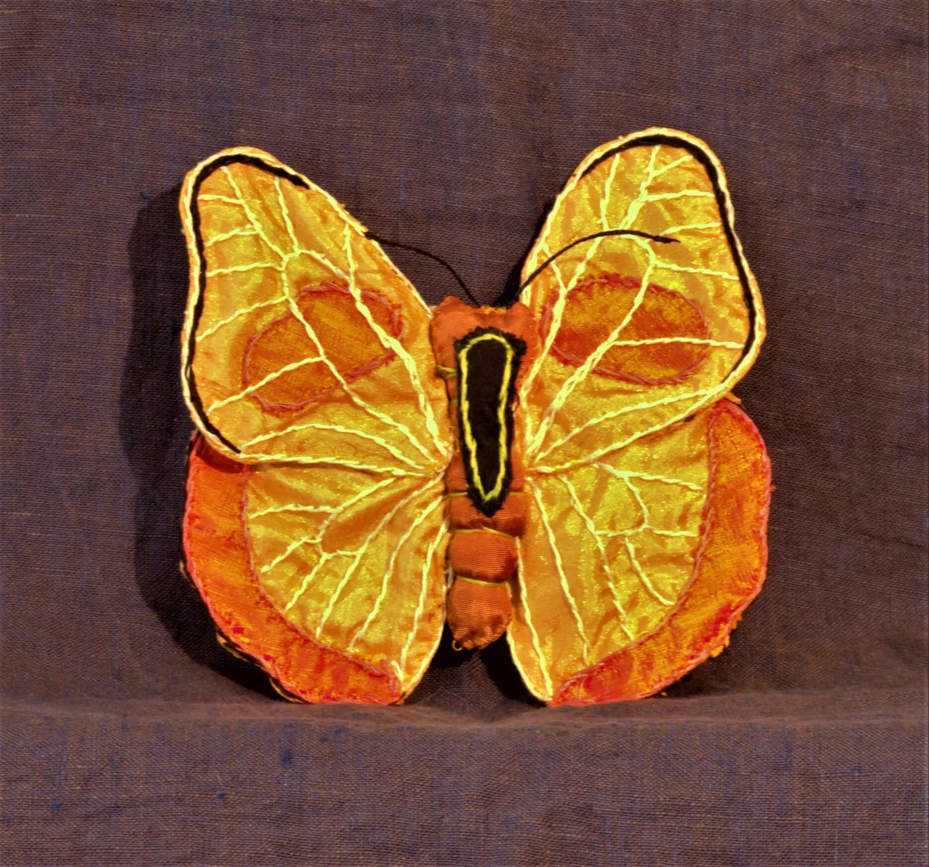 Orange Banded Sulphur 2016