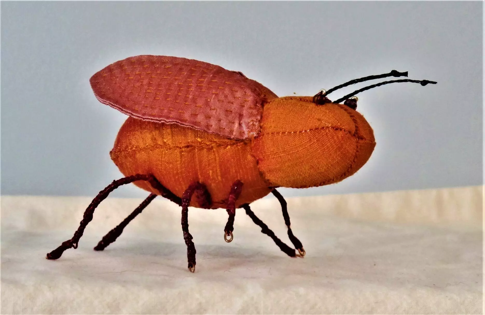 Orange Pink Bug 2016