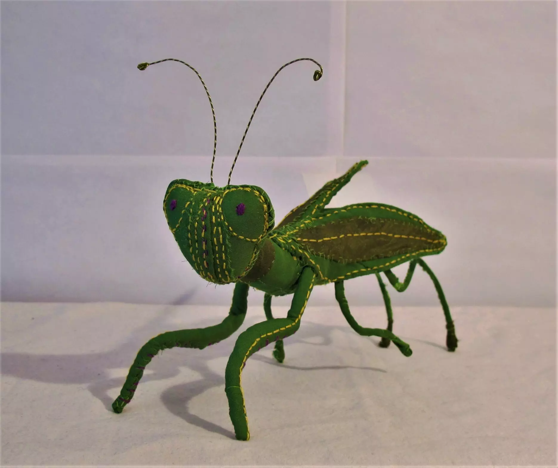 Praying Mantis 2016