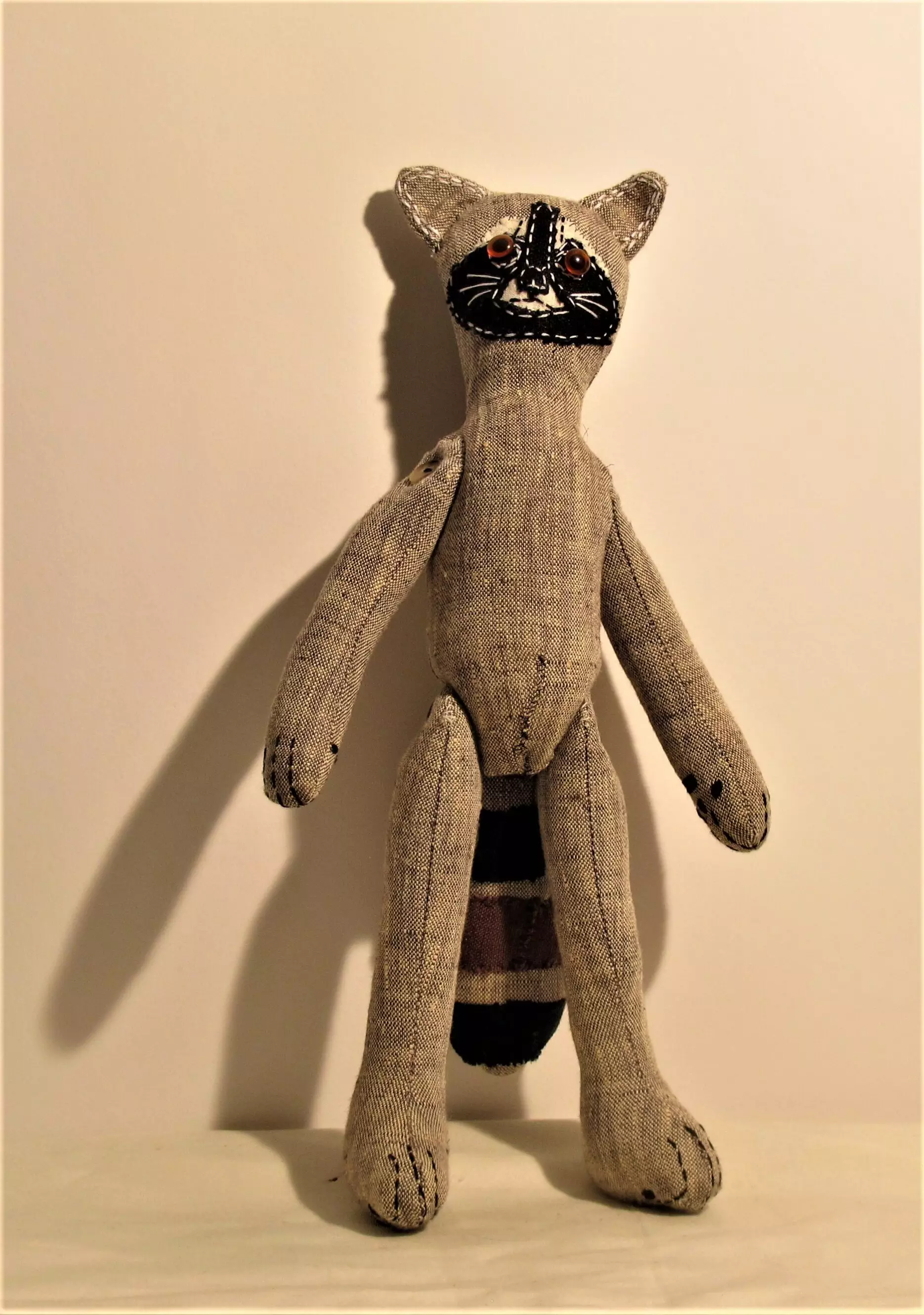 Raccoon 2020