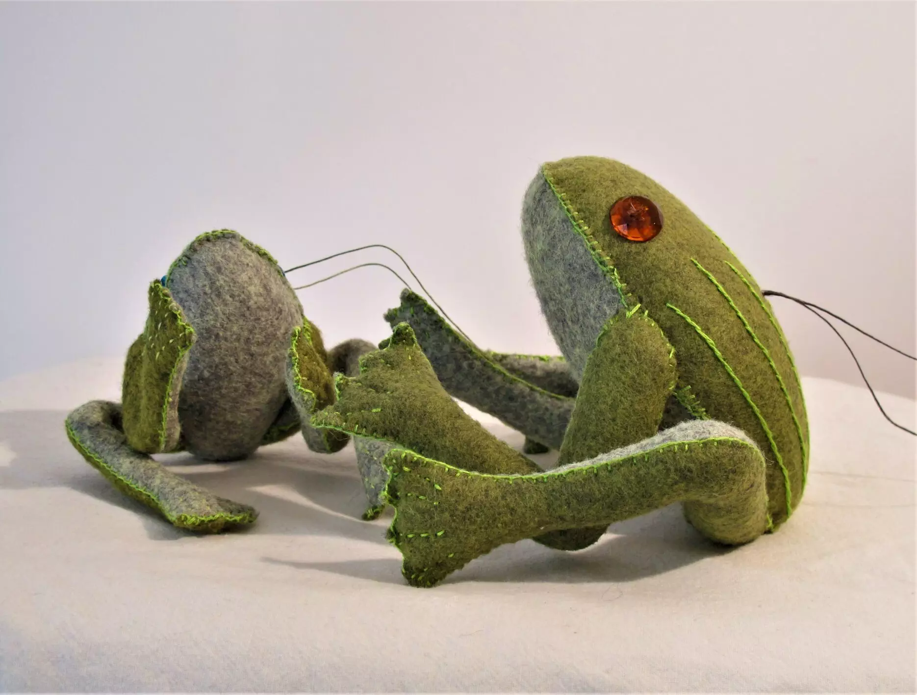 Two Frogs 2020